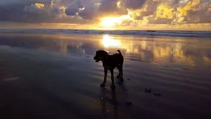 Praia do Leste em Icapara